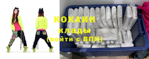 гашик Балахна