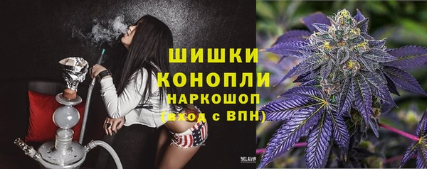 гашик Балахна