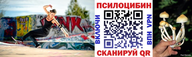 где купить наркоту  Коммунар  Галлюциногенные грибы мицелий 